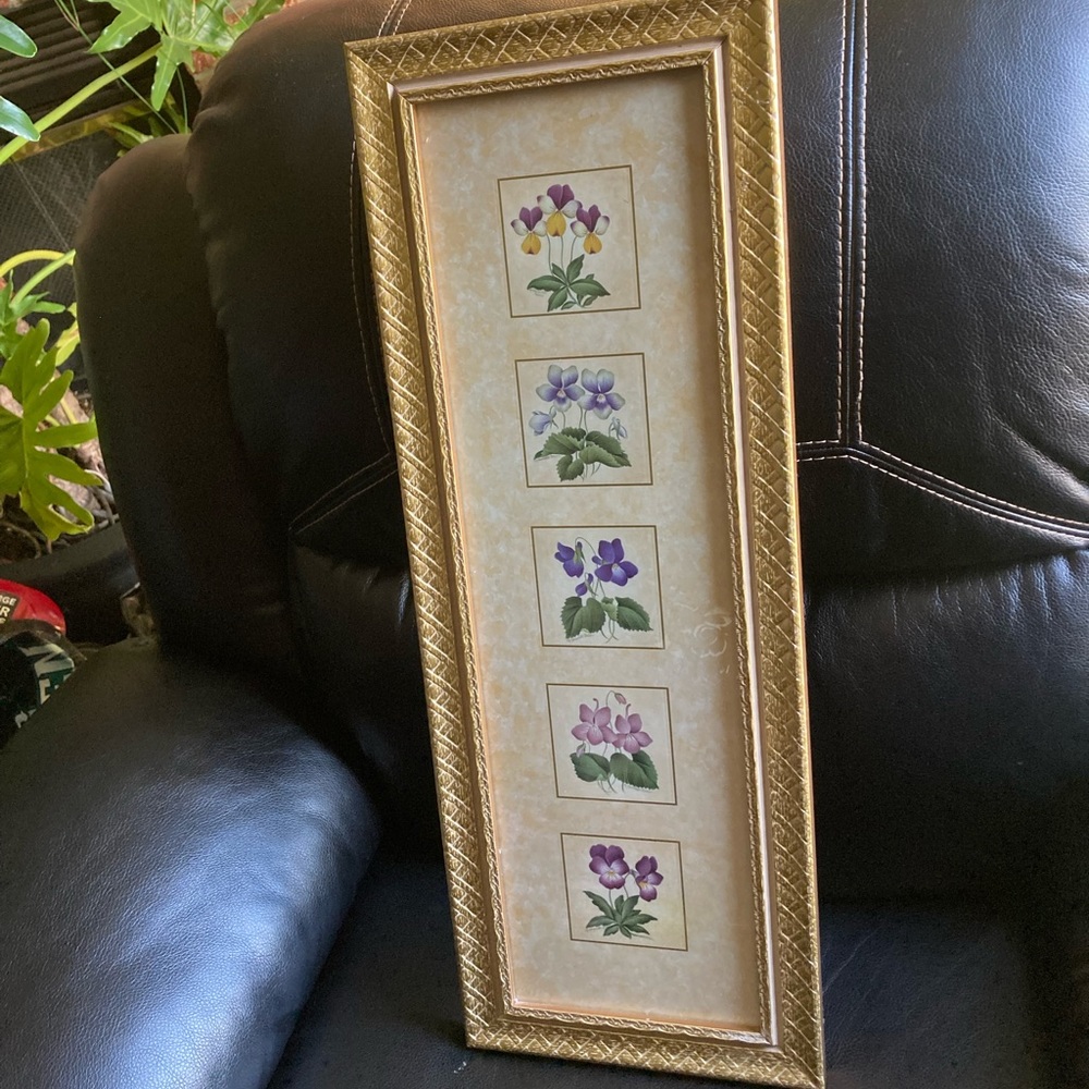 Wall Art - Violets by Nancy Shumaker Pallan